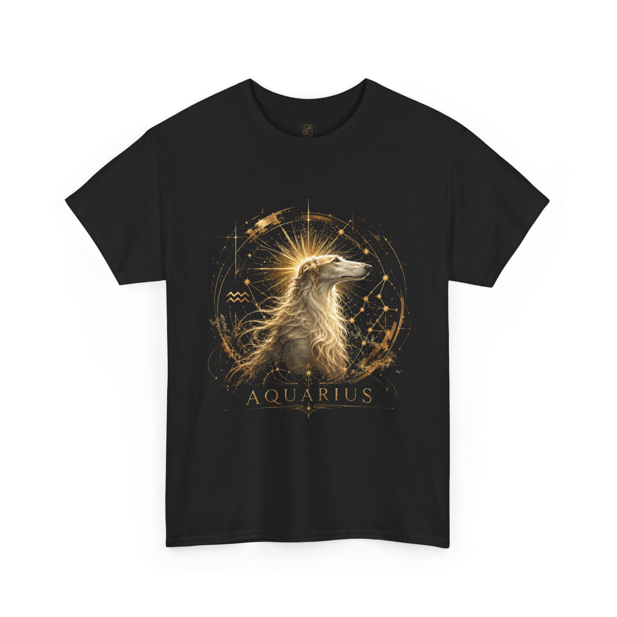 Aquarius Heavy Cotton Tee