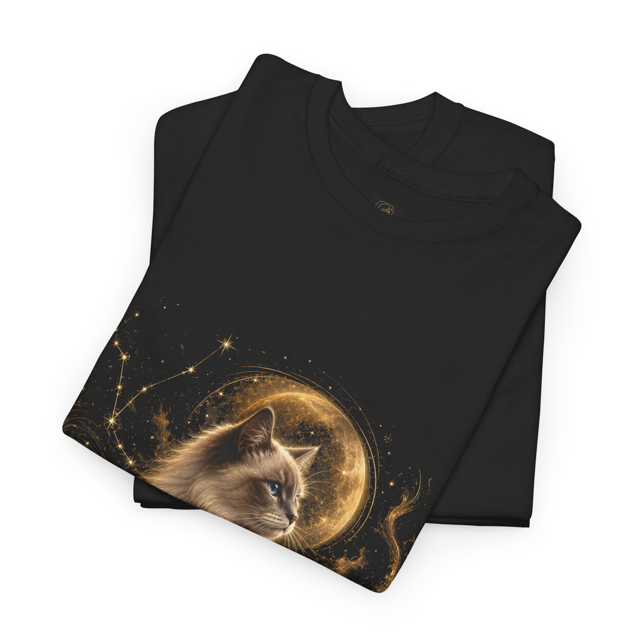 Pisces Zodiac T-Shirt